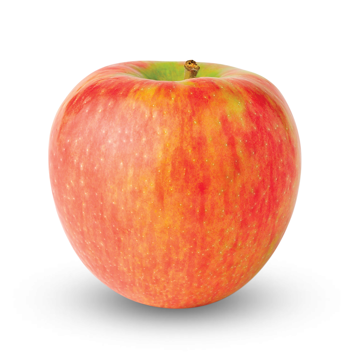 Honeycrisp Superfresh Growers
